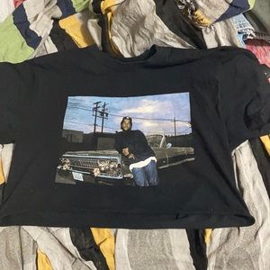 ice cube crop top